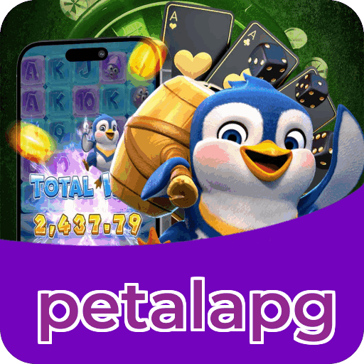 Métodos de pagamento aceitos na petalapg